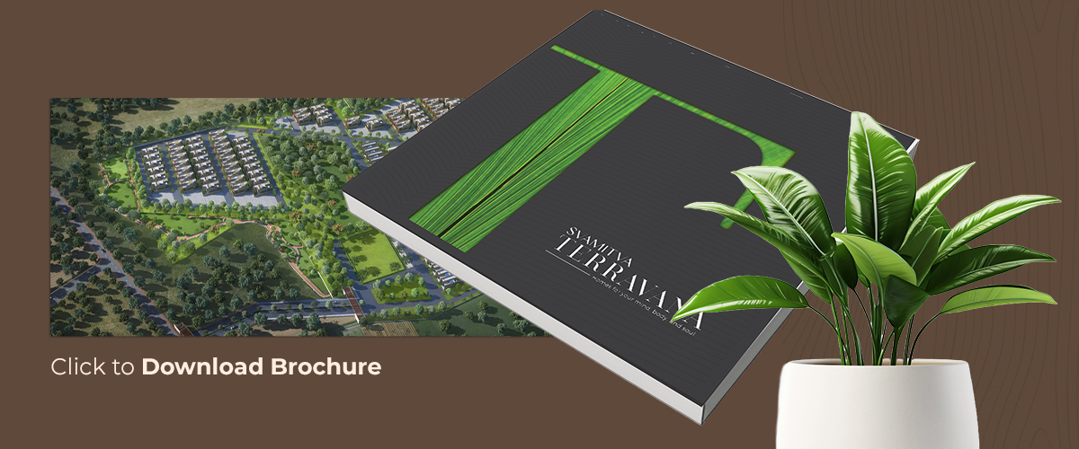 Terrvana Masterplan